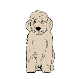 Option twinning chien