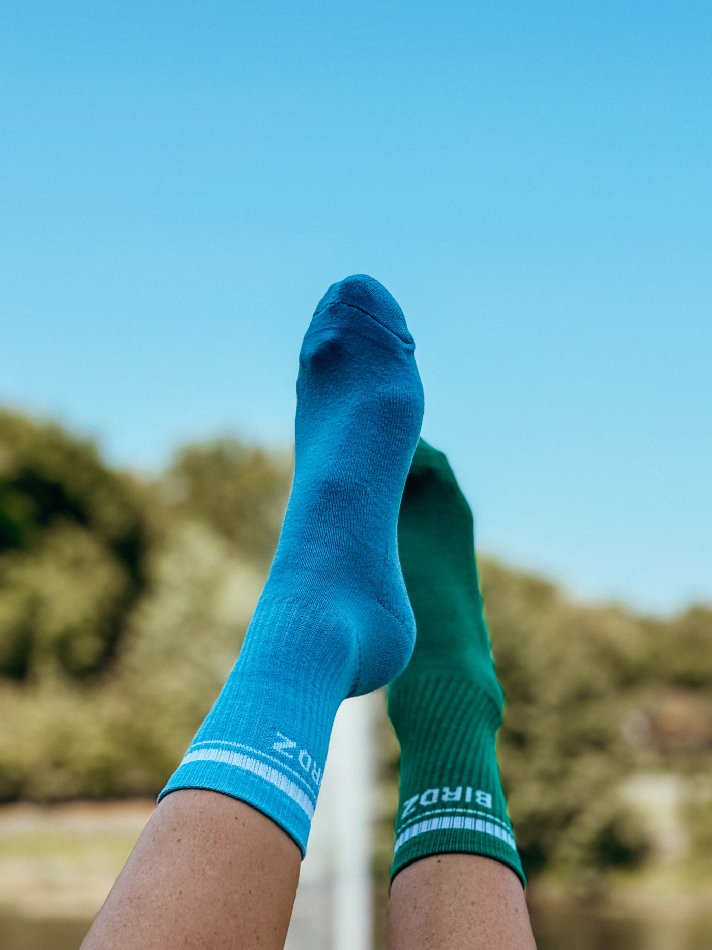 BIRDZ Socks |Placid Blue| Kidz