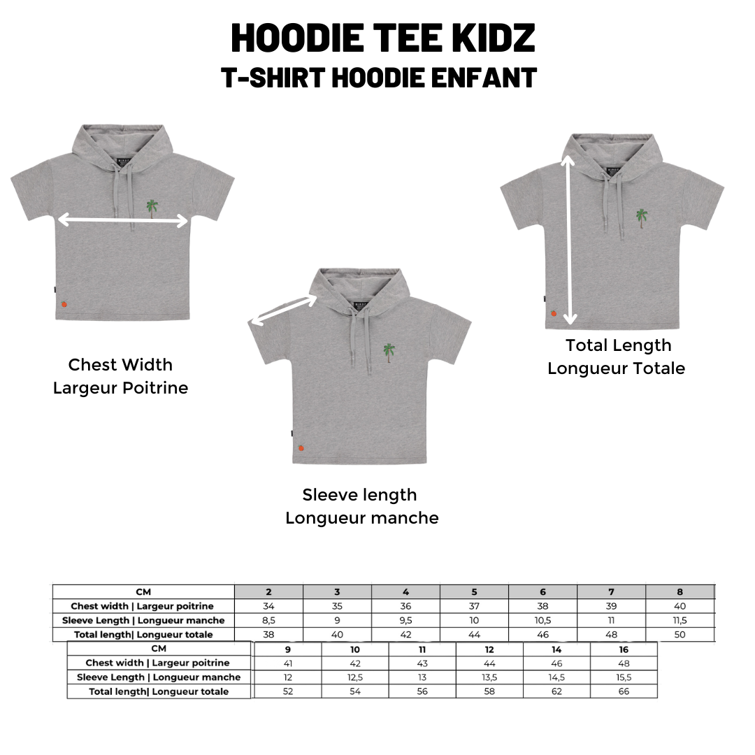 BIRDZ T-Shirt Hoodie |Gris| Enfants