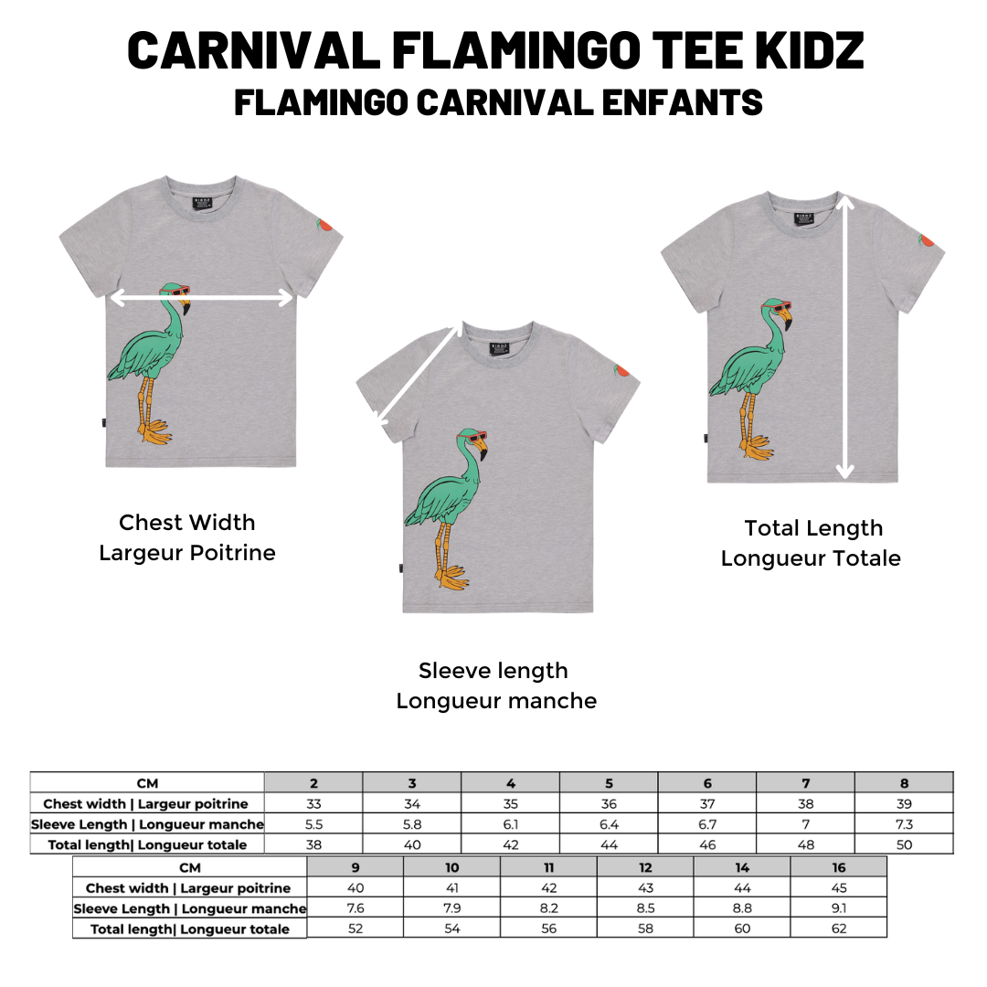 BIRDZ Carnival Flamingo Tee |Gray| Kidz