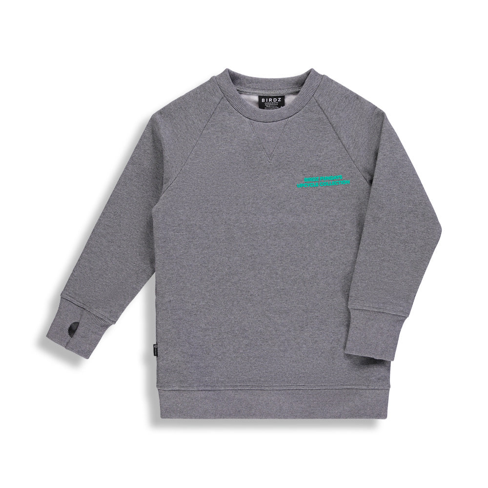 Fish Sweat Upcycle Collection |Gray| Kidz