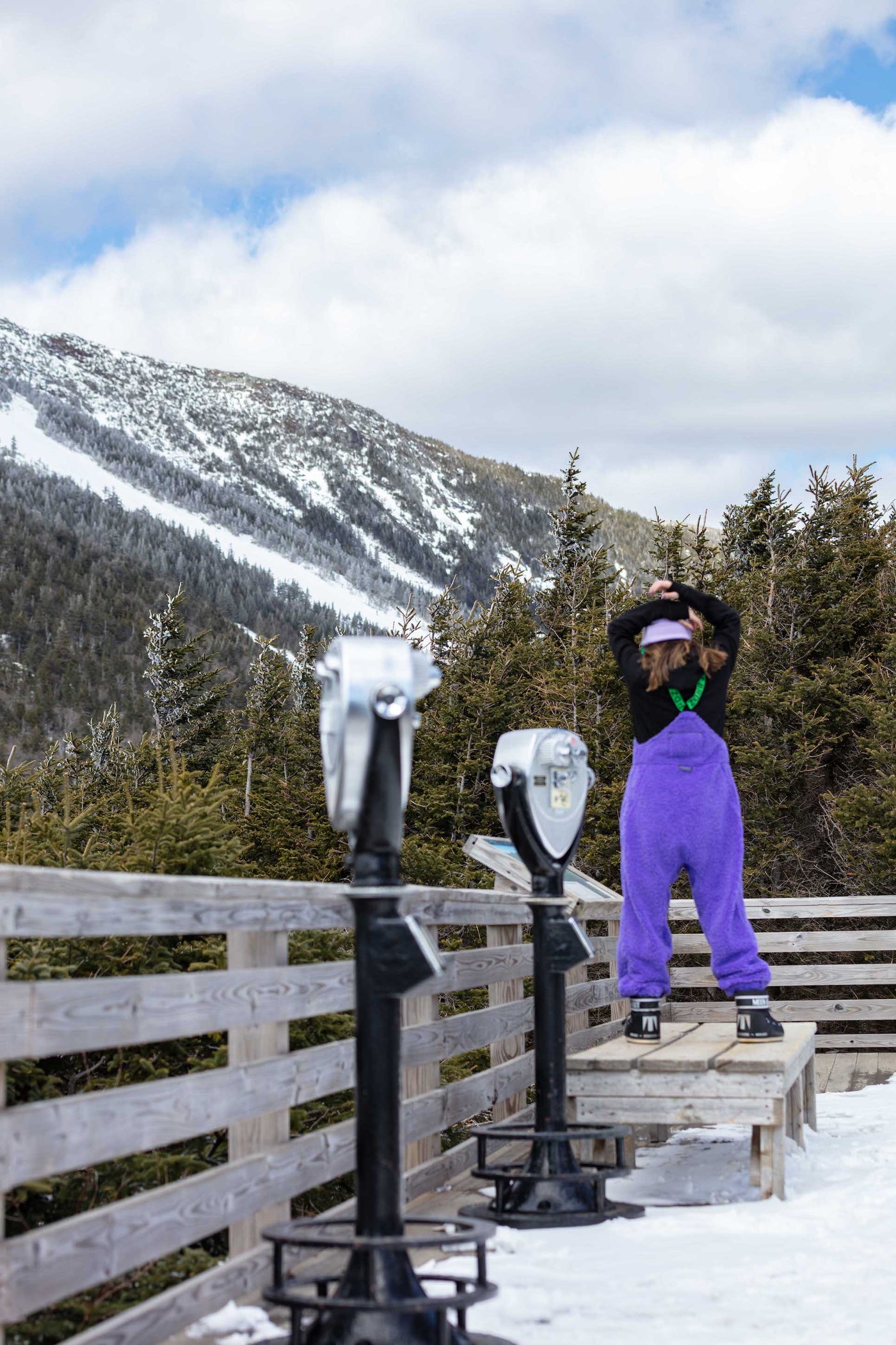 BIRDZ Sherpa Overall |Purple| Women